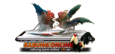 sv388 sabung ayam