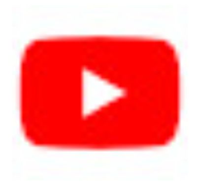 井筒しま🐯🎬