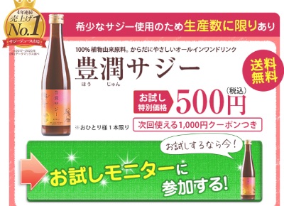 サジー　500円　買い切り