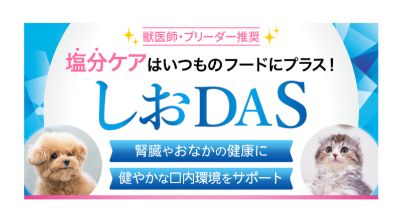 しおDAS