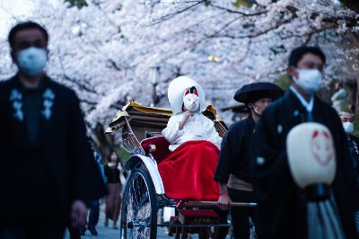 instagram 京都散歩の旅