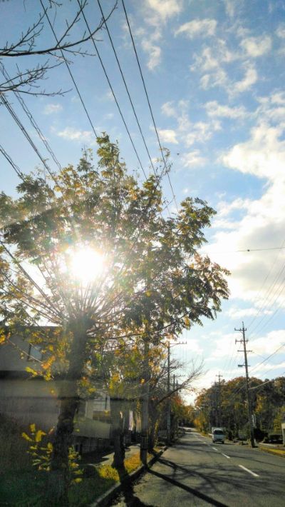 LINE公式アカウント(個別チャット)