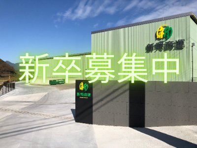 新卒採用