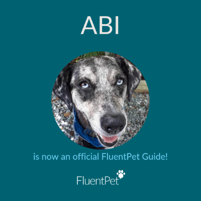 FluentPetのボタンはこちらから購入できます（アフィリエイトリンク）