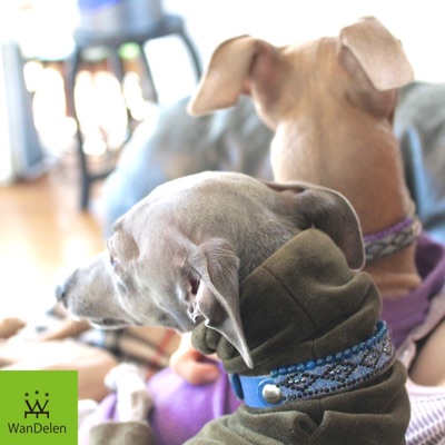 WanDelen(ワンデレン)