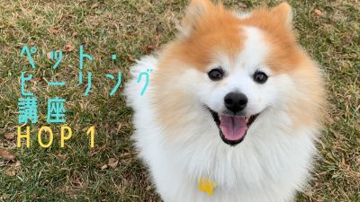 アニマル・ヒーリング・セッション