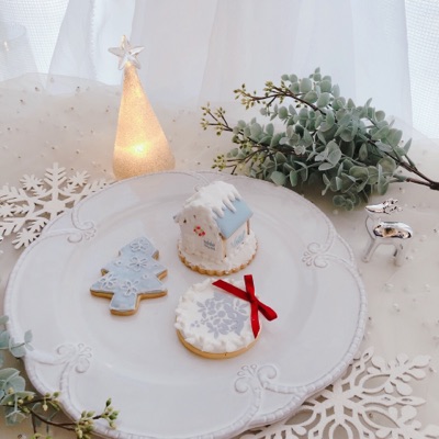 ALAアイシング基礎コース(ワンデイレッスンあり)