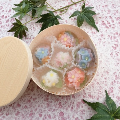 JVSレインドロップケーキ(水信玄餅)