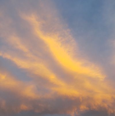 お問合わせ、お申込みフォーム