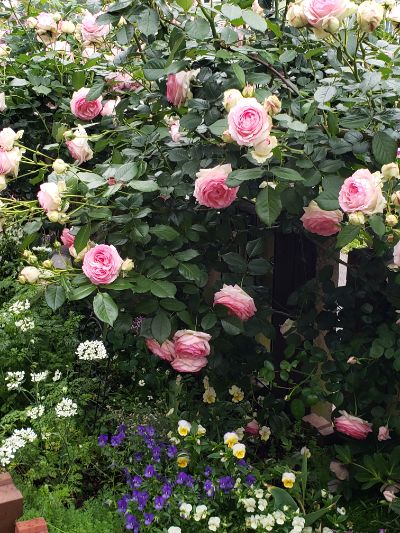 読むと人間関係円満になる無料メルマガ