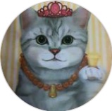 風空猫