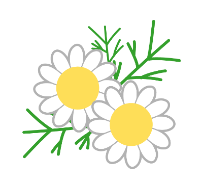 滋賀県ホームぺージ（「女性のつながりサポート事業」について）