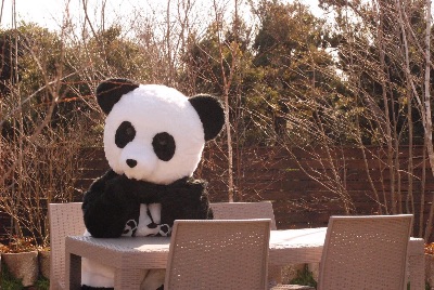 Facebook バンド活動