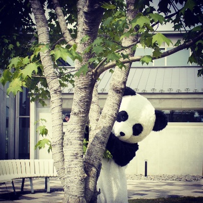 ぱんだせんせい直通