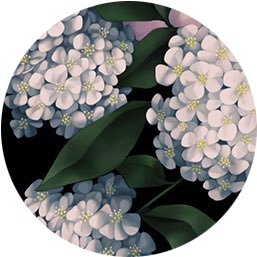 profile icon