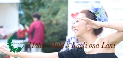 🌺HULA🌺