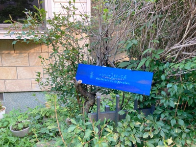 Instagram  atelier HISA