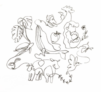 Seeding marché  instagram