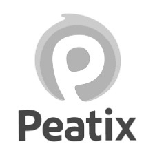 Workshop (LITTLE ARTISTS LEAGUE)