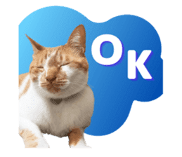 LINEスタンプ「ねこめいとスタンプ」