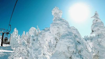 ざおなび【zao navi】山形蔵王温泉検索サイト
