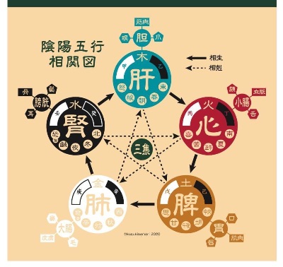 くすきの杜社長の陰陽五行占い