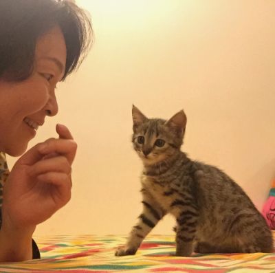 【アーカイブ】坂田マルハン美穂の文章