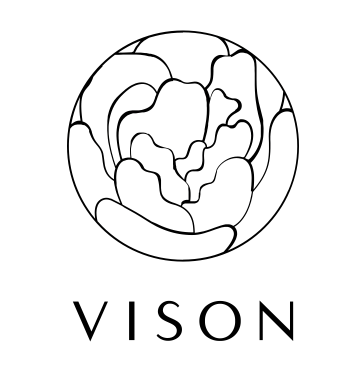 VISON