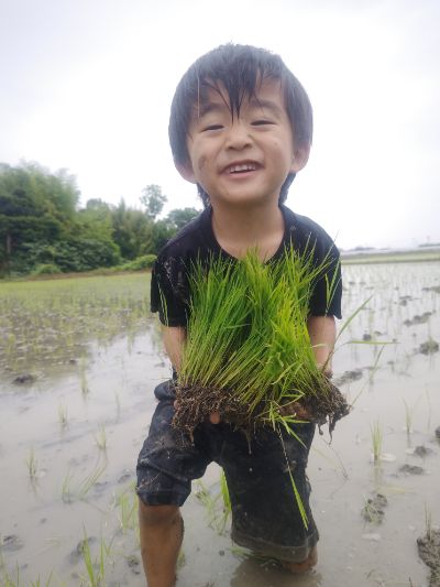 農家の日常