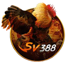 Sv388 Live