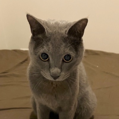 Instagram Daily account