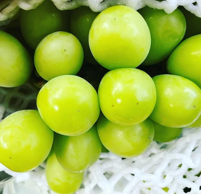PREMIUM GRAPE