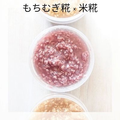 もちむぎ糀を使った調味料作りと応用