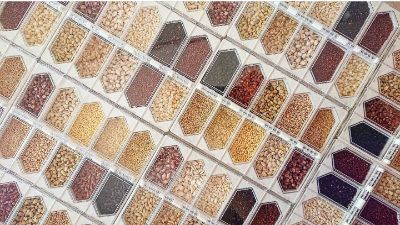 オフィシャルブログ