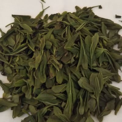 伝道ゆる茶会、漢方ゆる茶局