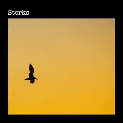 Storks