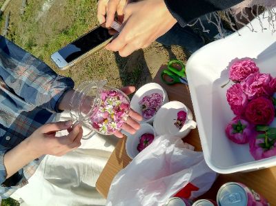 Instagram @ichihara_phyto_garden／イチハラフィトガーデン