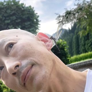 Instagram @ichi.cat.cat