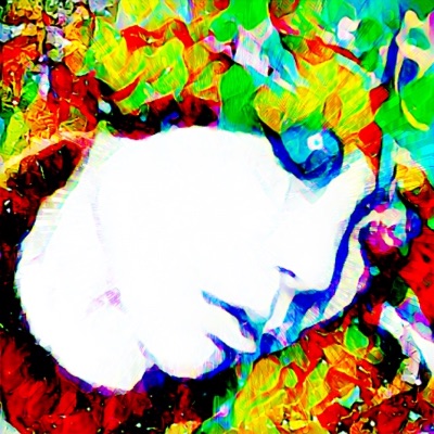 profile icon