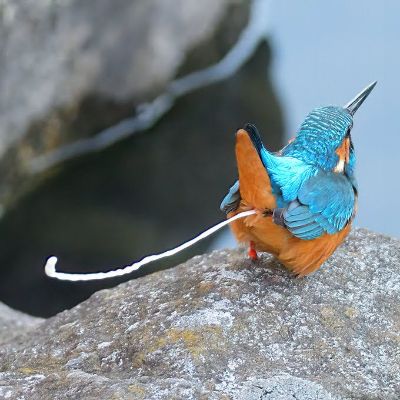 排泄マニア/あやめ