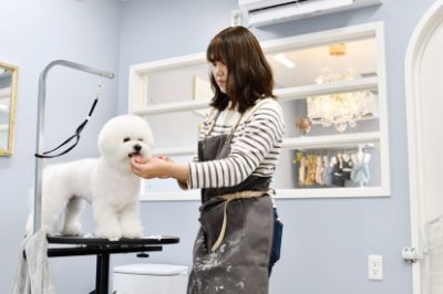 廣瀬 華　　dog salon  hanamarutrim
