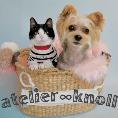 門根 あかり　atelier∞knoll 