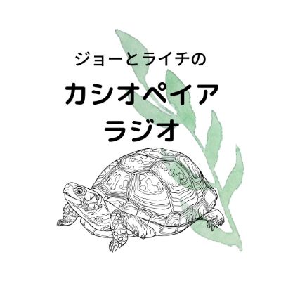 カシオペイア・ラジオ