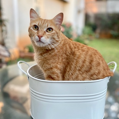 💖ストレスを抱え込まないために