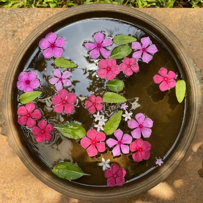 🌳『バンガロール・ガイドブック』オンライン情報誌