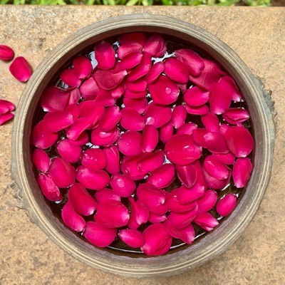 日本での復職を考える駐在員夫人の座談会（2019年９月）