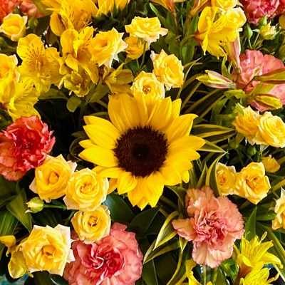 働きたくても働けない。駐在員夫人の本音と課題