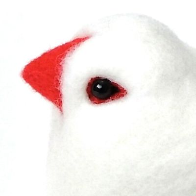 profile icon