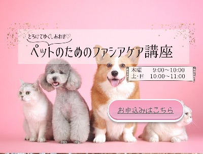 ペットのためのファシアケア