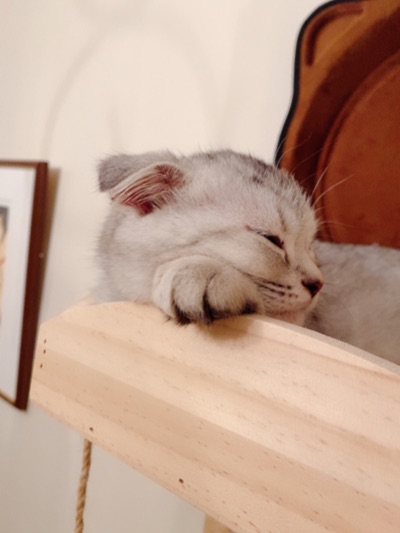 三女・るな♀との馴れ初め